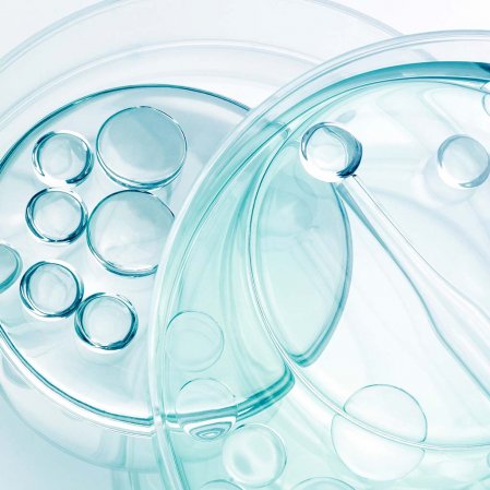 Crema bio sebium hydra