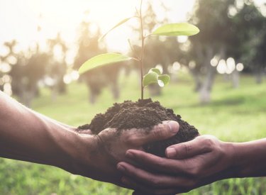 strive for sustainability strive for sustainability