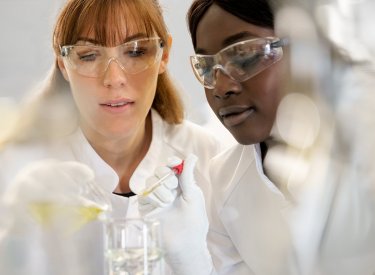 company- formulas laboratory company- formulas laboratory