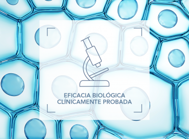 Icono eficiencia biologica